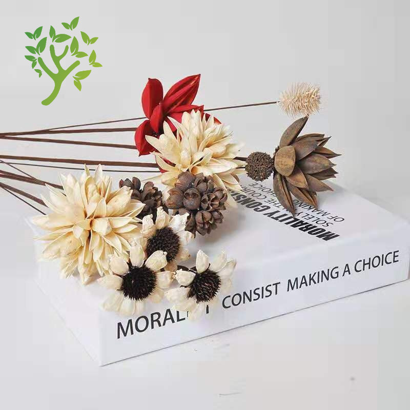 Zen stiliaus džiovintų gėlių puokštė svetainei – mišrios elementai su lotosu, lotus sėklų kapsulėmis ir pušų kankorėžiais (Variety: Lily; Material: Other; Craft: Other; Gift: No)