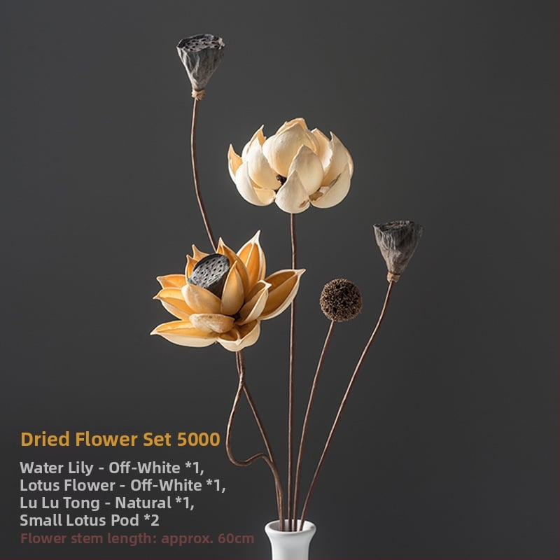Zen stiliaus džiovintų gėlių puokštė svetainei – mišrios elementai su lotosu, lotus sėklų kapsulėmis ir pušų kankorėžiais (Variety: Lily; Material: Other; Craft: Other; Gift: No)