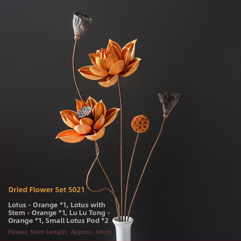 Zen stiliaus džiovintų gėlių puokštė svetainei – mišrios elementai su lotosu, lotus sėklų kapsulėmis ir pušų kankorėžiais (Variety: Lily; Material: Other; Craft: Other; Gift: No)