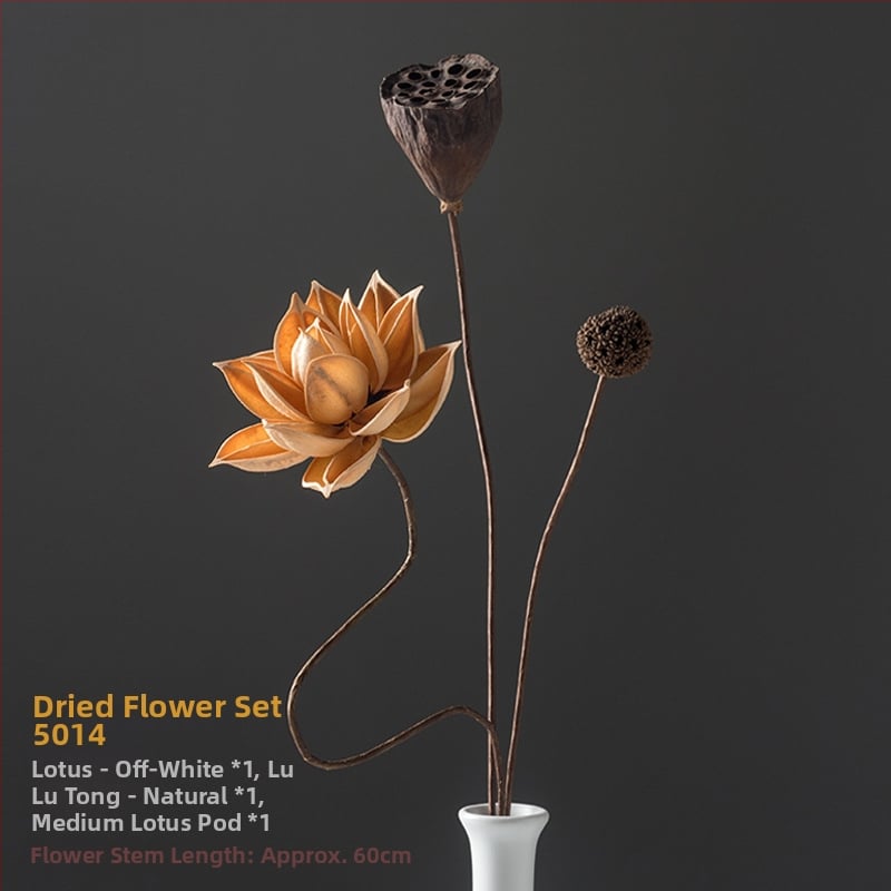 Zen stiliaus džiovintų gėlių puokštė svetainei – mišrios elementai su lotosu, lotus sėklų kapsulėmis ir pušų kankorėžiais (Variety: Lily; Material: Other; Craft: Other; Gift: No)