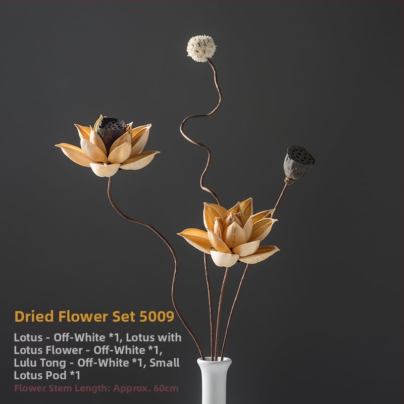 Zen stiliaus džiovintų gėlių puokštė svetainei – mišrios elementai su lotosu, lotus sėklų kapsulėmis ir pušų kankorėžiais (Variety: Lily; Material: Other; Craft: Other; Gift: No)
