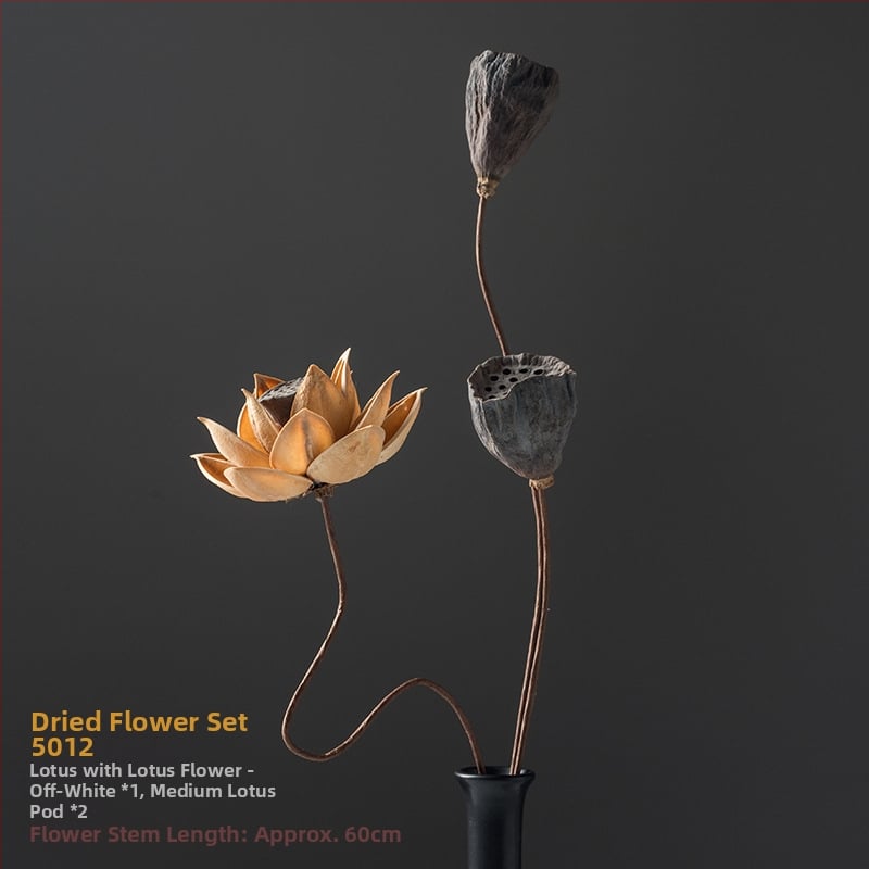 Zen stiliaus džiovintų gėlių puokštė svetainei – mišrios elementai su lotosu, lotus sėklų kapsulėmis ir pušų kankorėžiais (Variety: Lily; Material: Other; Craft: Other; Gift: No)