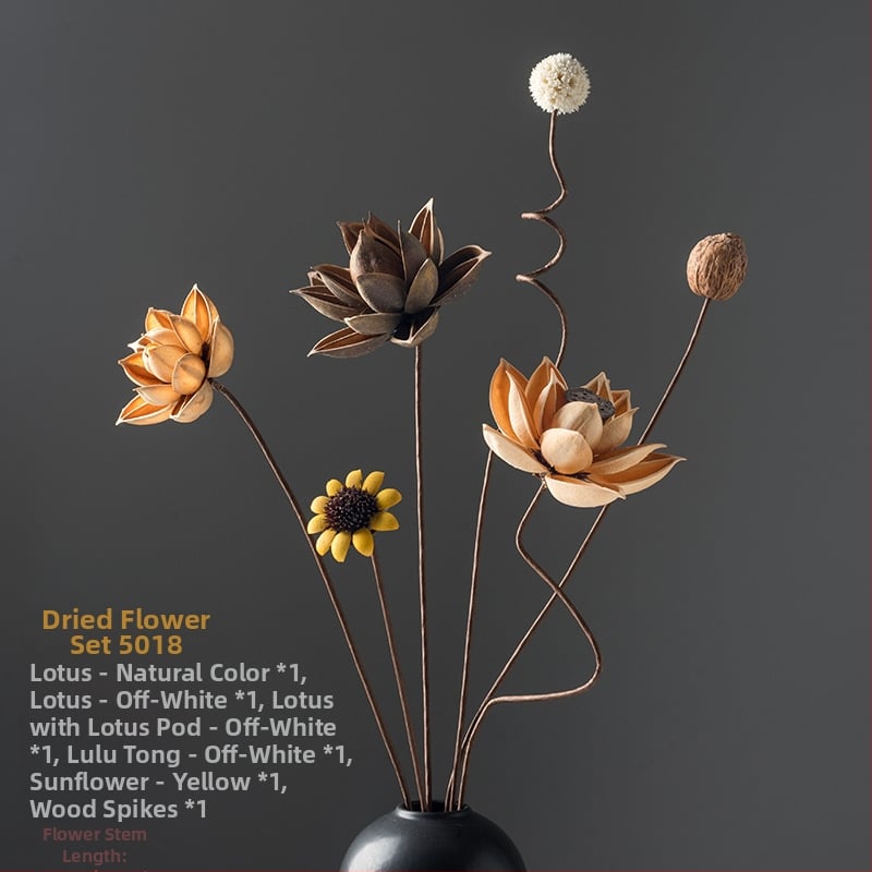 Zen stiliaus džiovintų gėlių puokštė svetainei – mišrios elementai su lotosu, lotus sėklų kapsulėmis ir pušų kankorėžiais (Variety: Lily; Material: Other; Craft: Other; Gift: No)