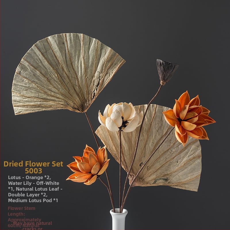 Zen stiliaus džiovintų gėlių puokštė svetainei – mišrios elementai su lotosu, lotus sėklų kapsulėmis ir pušų kankorėžiais (Variety: Lily; Material: Other; Craft: Other; Gift: No)