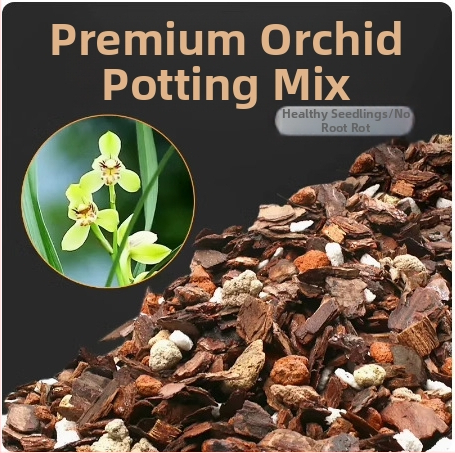 Orhideja Molan šķirne, materiāls: zīda zieds, Zīmols: Cits