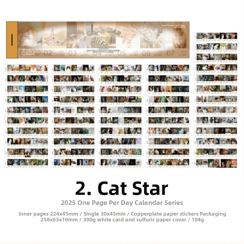 Ikgadējais dienasgrāmata 2025 ar katru dienu atsevišķu lappusu un noņemamām datumām - retro Eiropas/Amerikas tipogrāfija - svars 104 g - Icy Sea