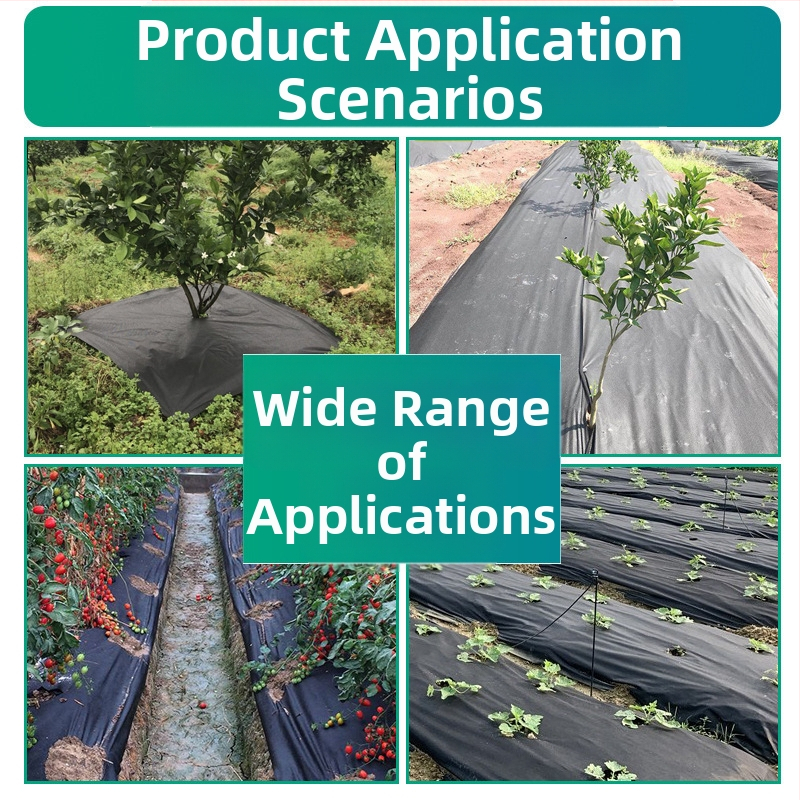 PP spunbond нетъкан текстил – 100% полипропилен, spunbond процес, GB стандарт, подходящ за медицински и санитарни тъкани, подплата за облекло, домашни текстили и опаковки