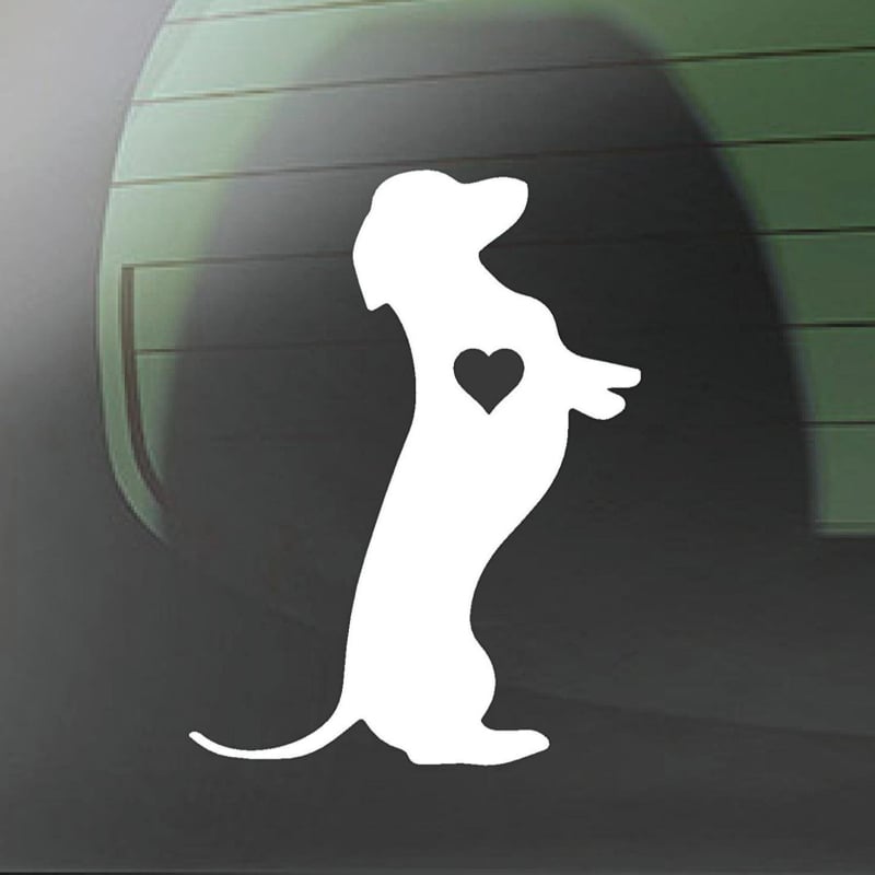 Autocolant adeziv pentru mașină cu dachshund – decali cu text; material: autocolant; montaj: lipire; mărci private autorizate: Da