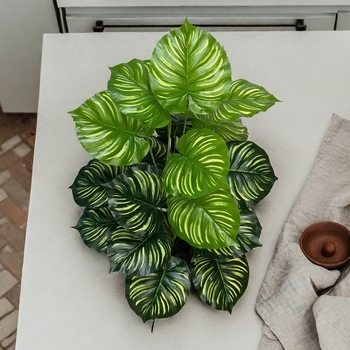 Mākslīgais arbūza lapu augs – 12-lapu, 18-lapu un 24-lapu varianti – mīksts PVC, veidošana un injekcijas formēšana