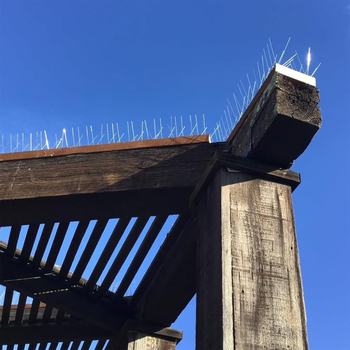 Πλαστικές ακίδες αποτροπής πουλιών, μάρκα 543, για τον κήπο