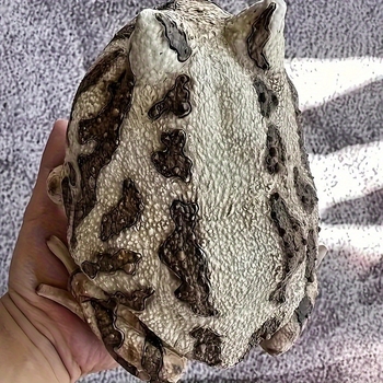 Градински декоративен орнамент жаба от смола, пасторален стил, занаят: друго