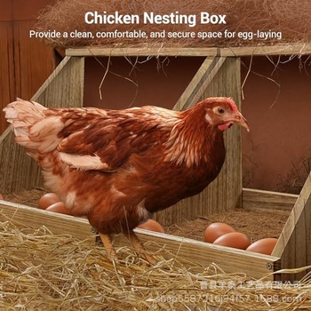 Ξύλινο κουτί φωλιάς κοτόπουλων, τοίχο-εγκαταστημένο, κατοικία πουλερικών, Yangtai