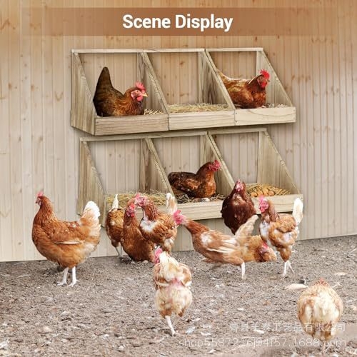 Cuib de găini din lemn, montat pe perete, adăpost pentru păsări, Yangtai