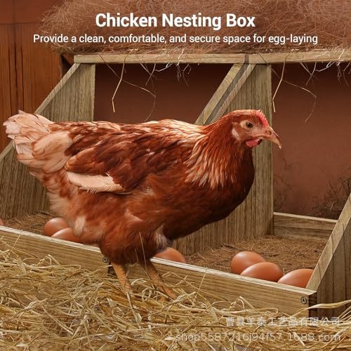 Cuib de găini din lemn, montat pe perete, adăpost pentru păsări, Yangtai