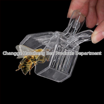 Εργαλείο μελισσοκομίας για σύλληψη βασίλισσας: πλαστικό κλιπ και κλουβί σύλληψης βασίλισσας, μάρκα Haocheng bee products business department, για μελισσοκομία και κτηνοτροφία