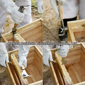 Εργαλείο Μελισσοκομίας Bai Chun: Ανοξείδωτο πολυλειτουργικό μαχαίρι κυψέλης για αποκόλληση κηρήθρας και απομάκρυνση μελιού