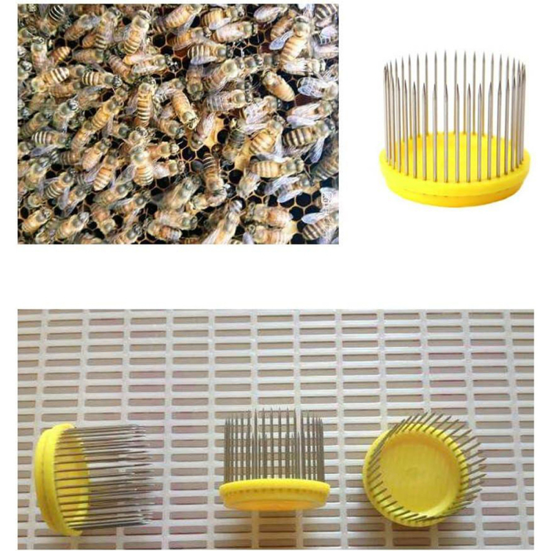 Bitininkystės įrankiai Karalienės narvas, nerūdijančio plieno, modelis L14, darbas esant kambario temperatūrai, Bee Capital