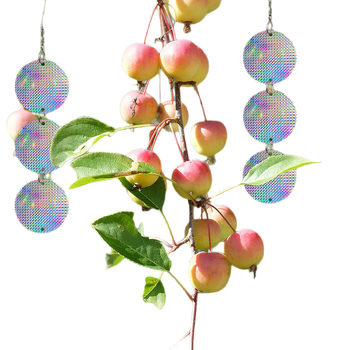 Gott πλαστικό σετ αποτροπής πουλιών με ανακλαστικό λέιζερ, τριών μερών