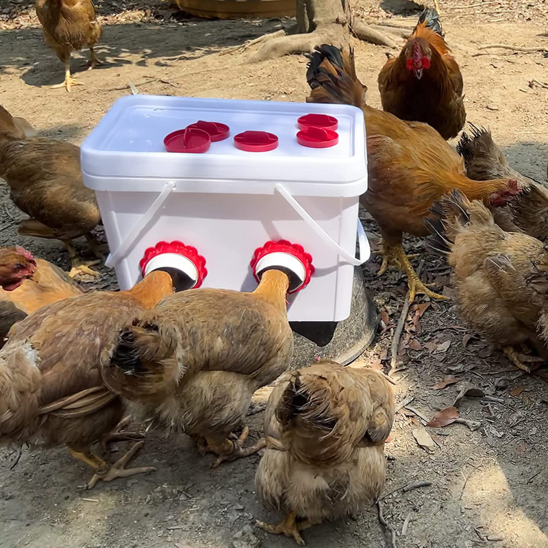 Automatinis viščiukų ir ančių šėrimo indas, atsparus lietui, gravitacinis šėrimas, iš plastiko