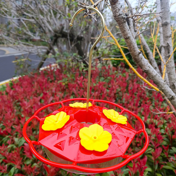 Aštuonkampė kolibrių vandens šėrimo kanalas su kabamu gėlių vamzdelio dizainu; Medžiaga: Kita; Kilmė: Hebei; Skirta paukščiams.