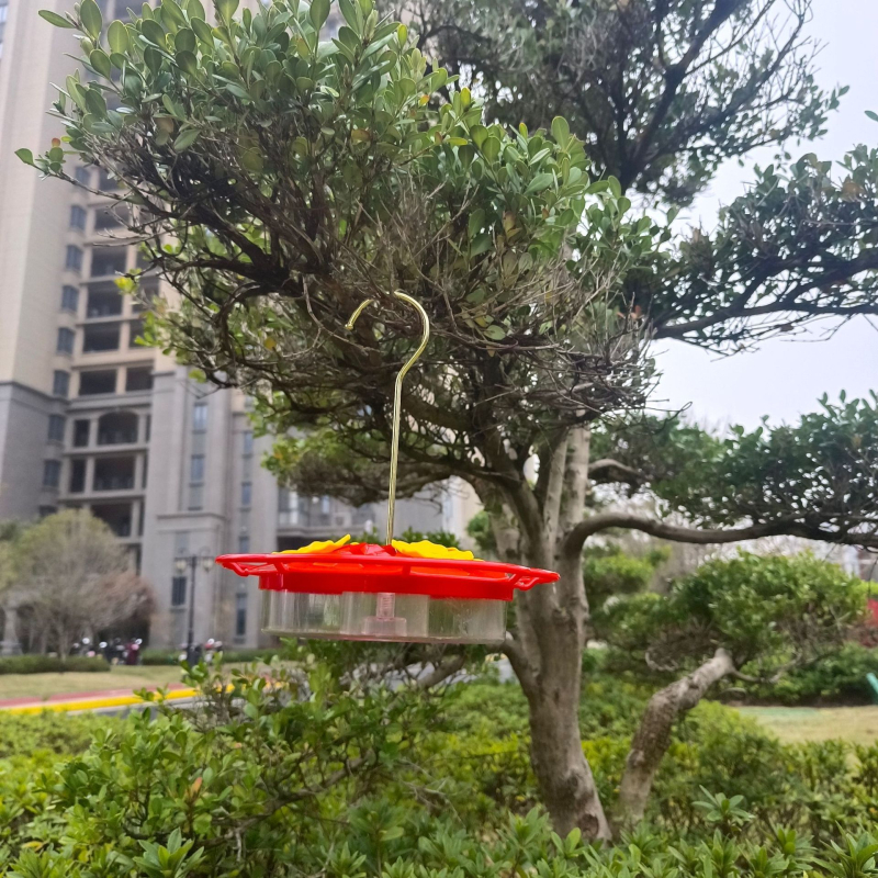 Aštuonkampė kolibrių vandens šėrimo kanalas su kabamu gėlių vamzdelio dizainu; Medžiaga: Kita; Kilmė: Hebei; Skirta paukščiams.