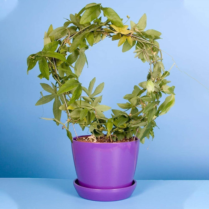Suport metalic pentru plante, design circular, pentru exterior, plante cățărătoare, Yongchang Tip A/B
