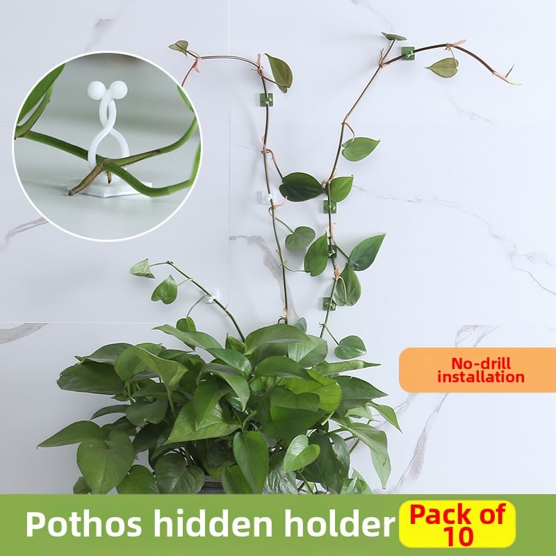 PP augalų laikiklio spaustukas – nematomas sienos laikiklis vijoms, vidaus atrama, modeliai Mažas/ Vidutinis/ Didelis
