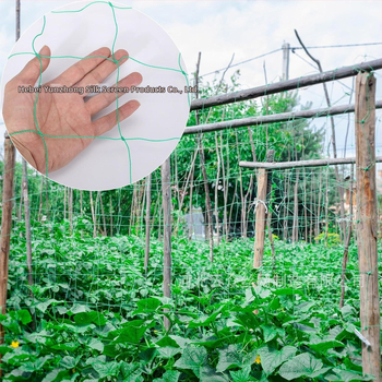 Δίκτυο αναρρίχησης για αμπέλια και λαχανικά, στηριξη με πλέγμα και ενισχυμένη άκρη, αντίσταση στον άνεμο