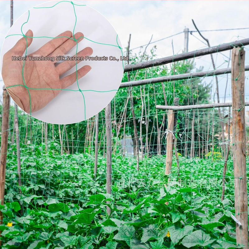 Катереща мрежа за лози и зеленчуци, решетъчна опора със подсилен ръб и устойчивост на вятър