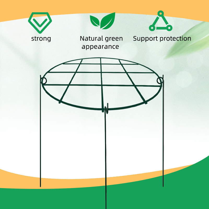 Kopimo rėmas augalams ir vazonų laikiklis, plieninė konstrukcija, grindinis tvirtinimas
