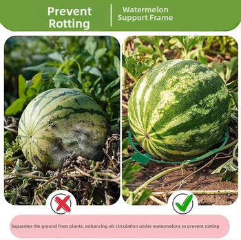 Noon ABS plasto vaisių sodinimo padėklas – antikorozinė vaisių atrama sodui