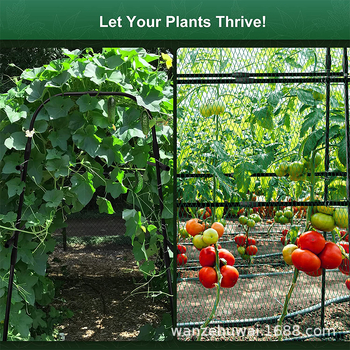 A-Frame išorinė grotelė vijokliniams augalams, PE plastiko danga, augalų laikiklis