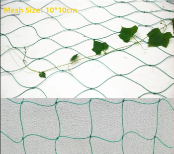 Δίκτυο αναρρίχησης για αμπέλια — Υλικό: πλαστικό; Τύπος: Δίκτυο αναρρίχησης; Χρήση: Κηπουρική για αναρριχητικά φυτά; Εισαγωγή: Όχι