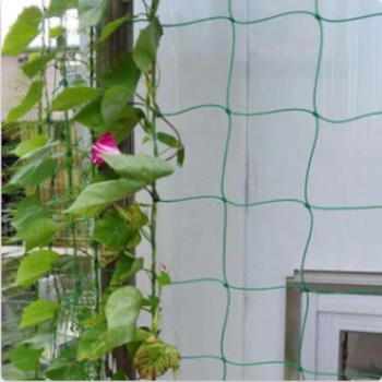 Δίκτυο αναρρίχησης για αμπέλια — Υλικό: πλαστικό; Τύπος: Δίκτυο αναρρίχησης; Χρήση: Κηπουρική για αναρριχητικά φυτά; Εισαγωγή: Όχι