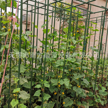 Sodininkystės laikiklis Saint wandar – plienas, augalų palaikymas