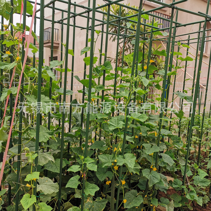 Sodininkystės laikiklis Saint wandar – plienas, augalų palaikymas