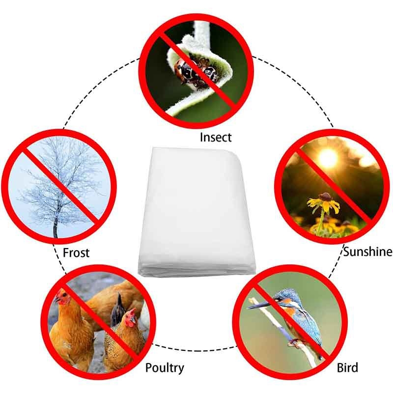 Augalų šalčio apsaugos uždanga — FS prekės ženklas, tinkama šaltoms sąlygoms