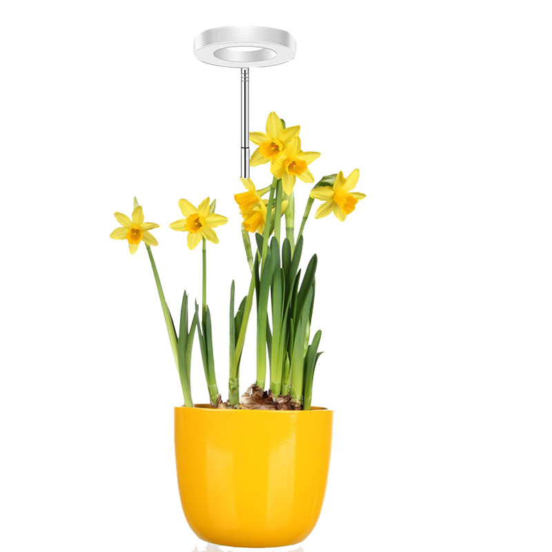 Stalo LED augimo šviesa bonsajams, 48 LED, pilnas spektras, reguliuojama spalvų temperatūra, IP44, 5V įėjimas