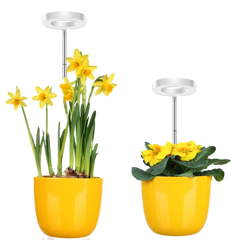 Stalo LED augimo šviesa bonsajams, 48 LED, pilnas spektras, reguliuojama spalvų temperatūra, IP44, 5V įėjimas