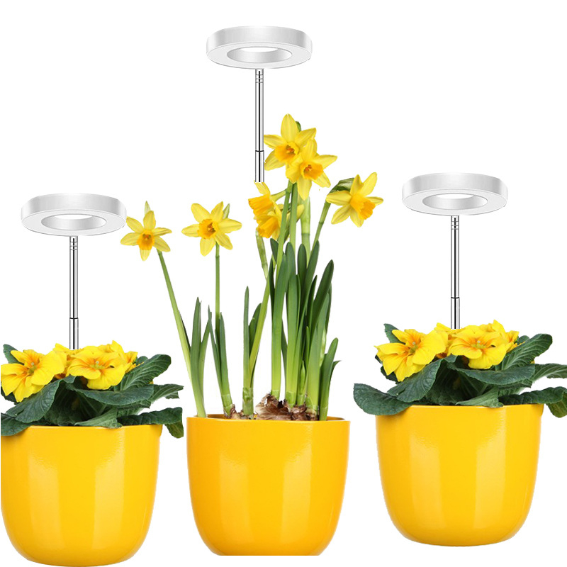 Stalo LED augimo šviesa bonsajams, 48 LED, pilnas spektras, reguliuojama spalvų temperatūra, IP44, 5V įėjimas