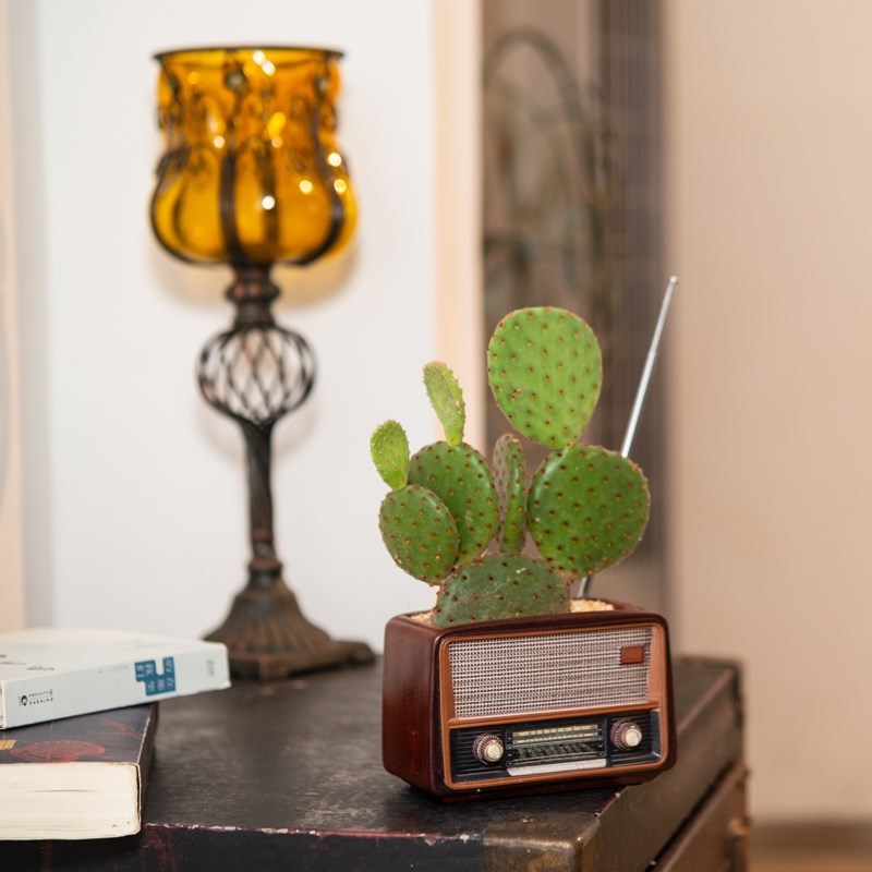 Yi rășină: ornament în formă de radio retro, ghiveci decorativ pentru casă, multifuncțional