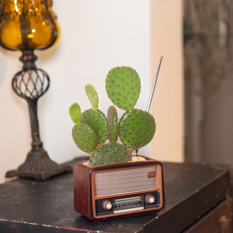 Yi rășină: ornament în formă de radio retro, ghiveci decorativ pentru casă, multifuncțional