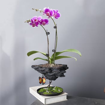 Ghiveci din rășină cu design din fier forjat pentru suspendare, potrivit pentru birou și casă – pentru așezat pe birou, pe podea sau ca element suspendat