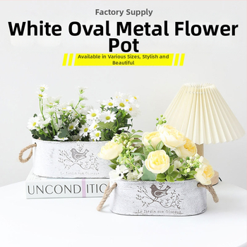 Željezna saksija s motivom ptice, Vintage konopljino uže za pohranu, pogodna za sukulente i zelene biljke, pastoralni stil