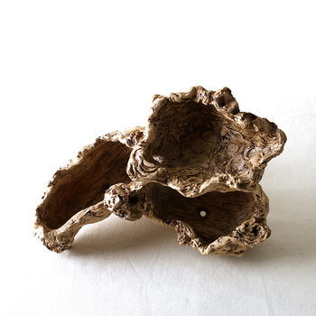 Vazonas sukulentams iš dervos – staliniam naudojimui, idiliškas stilius, gruntavimo darbai