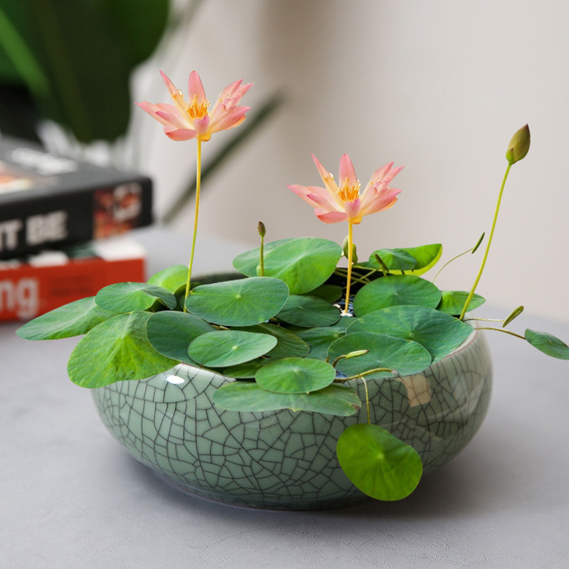 Keraminis hidroponinis vazonas, rankų darbo, stalinis dizainas kinų stiliuje, tinkamas namų ir biuro sodinimui