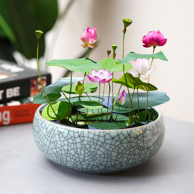 Keraminis hidroponinis vazonas, rankų darbo, stalinis dizainas kinų stiliuje, tinkamas namų ir biuro sodinimui