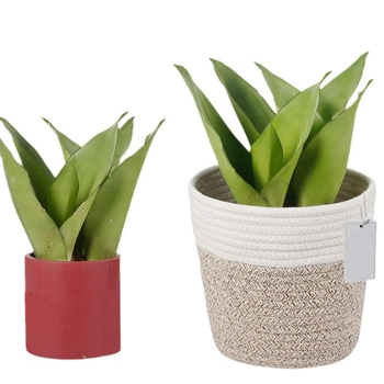 Rankomis austas augalinių pluoštų vazonas – biodegraduojantis, atsparus korozijai, taupo vandenį; skirtas staliniam, grindų ar kombinuotam naudojimui.