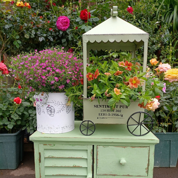 Metalo vazonų stovėtuvas staliniam naudojimui; geležinė konstrukcija; tinka mažiems vazonams.