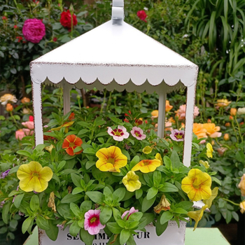 Metalo vazonų stovėtuvas staliniam naudojimui; geležinė konstrukcija; tinka mažiems vazonams.